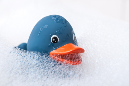 closeup of blue rubber duck toy with moss in bathの写真素材