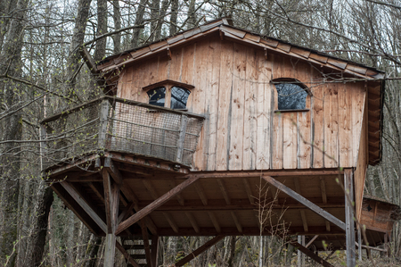 traditional wooden hut in the trees in the forest at springの写真素材
