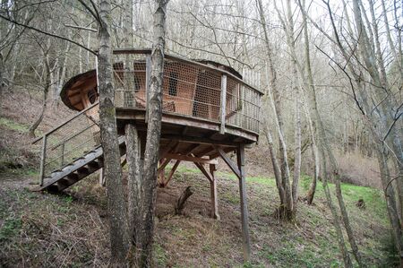 traditional wooden hut in the trees in the forest at springの写真素材