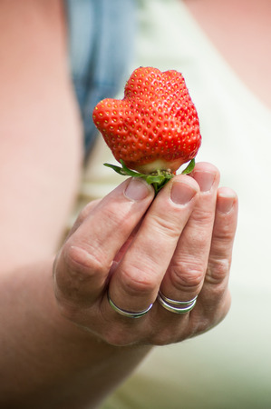 closeup of  woman  with strawberry in hand  の写真素材