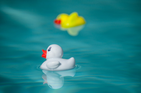 closeup of blue white and yellow rubber duck toy in swimming poolの写真素材