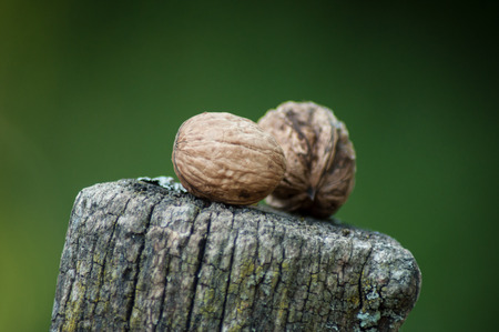 group of walnuts on wooden fence  on blurred backgroundの写真素材