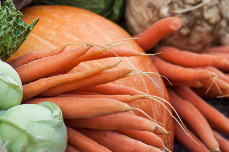 closeup of vegetables assortment at the market