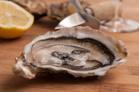 closeup of  oysters and lemon on wooden cutting boardの写真素材