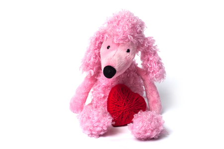 closeup of pink poodle toy with red heart sitting on white backgroundの写真素材