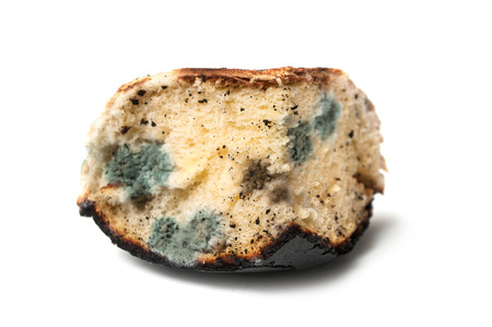 closeup of mold on piece of cake on white backgroundの写真素材