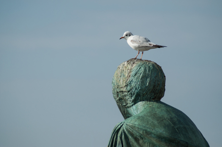 portrait of seagull standing on bronze statue in Basel - Switzerlandの写真素材