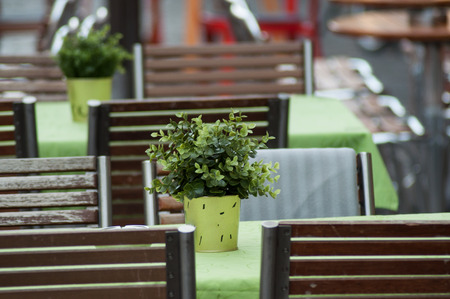 closeup of artificial plant in pot on table at the terrace of the restaurant in the street