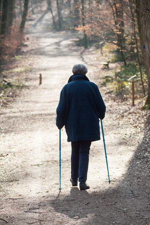 portrait of old woman with sticks walking in the way in the forest on back viewの写真素材
