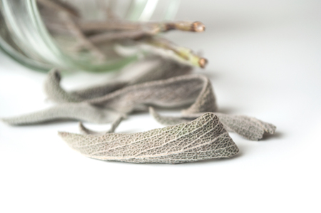 closeup of salvia officinalis dried leaves falling from glass container on white backgroundの写真素材