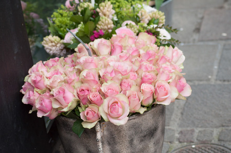 closeup of pink roses at the floristの写真素材