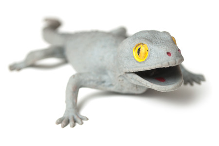 closeup of rubber lizard on white backgroundの写真素材