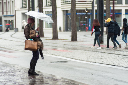 Mulhouse - France - 3 April 2019 - portrait of woman  standing with grey umbrella and dog in arms in the streetのeditorial素材