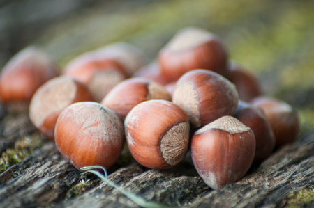 closeup of nuts on wooden table  backgroundの写真素材