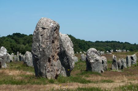 view of famous megalith alignment in Carnac Brittany  Franceの素材 [FY310127437498]