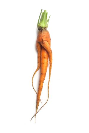 closeup of funny carrot on white backgroundの写真素材