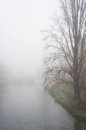 vieuw of trees and river in Strasbourg by foggy day の写真素材