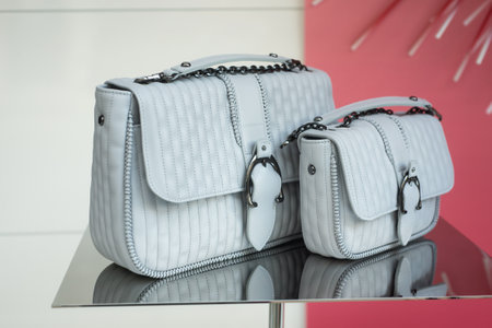 Mulhouse - France - 15 March 2020 - Closeup of grey handbag by Longchamp in a luxury fashion store showroomのeditorial素材