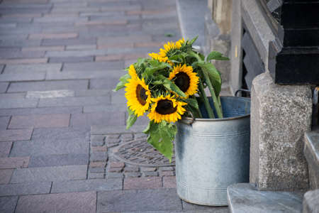 Closeup of sunflowers bouquet at the florist in the streetの写真素材