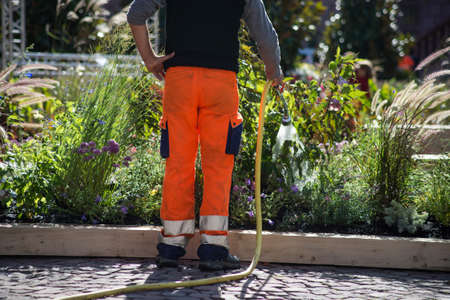 Closeup of gardener watering  in a public gardenの写真素材