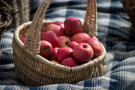 Closeup of organic red apple in a  wooden basket on blue napkin background