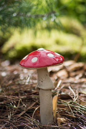 Closeup of decorative mushrooms in a public gardenの写真素材