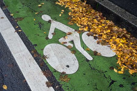 Closeup of bicycle line covered by autumnal leaves by rainy dayの写真素材