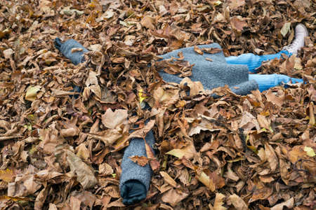 Portrait of woman covered by autumnal leaves in a public gardenの写真素材