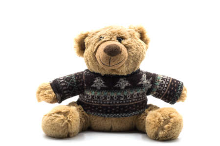 Closeup of traditional teddy bear sitting on white background