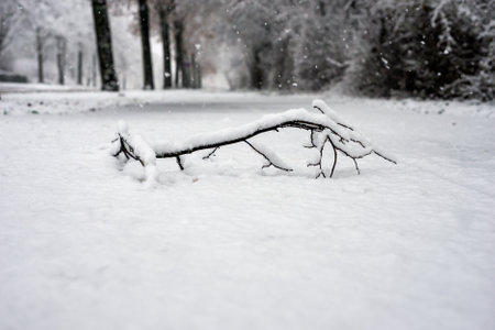 Closeup of tree branch falling on the floor covered by the snow  during a snowy dayの写真素材