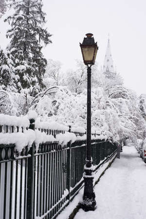View of retro street light and trees branches covered by the snow in a public garden by snowy dayの写真素材