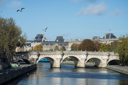 view of the new bridge on the seine river in paris