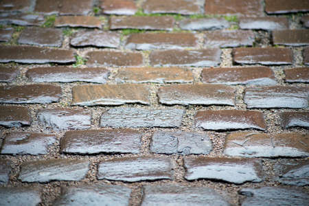 Closeup of wet vintage cobbles in the street