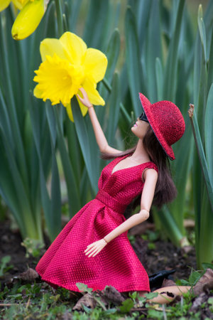 Mulhouse - France - 19 March 2021 - Portrait of brunette Barbie doll wearing a sexy red dress standing in a public garden with yellow daffodilsのeditorial素材