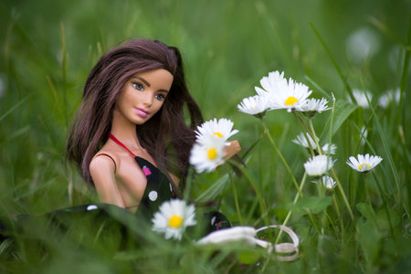 Mulhouse - France - 31 May 2021 - Portrait of brunette barbie doll wearing a black summer dress picking wild flowers in a meadowのeditorial素材
