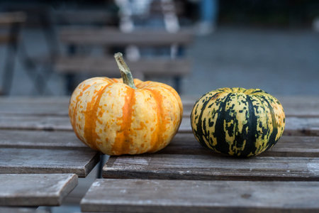 Closeup of decoratives halloween gourds on wooden table in the street
