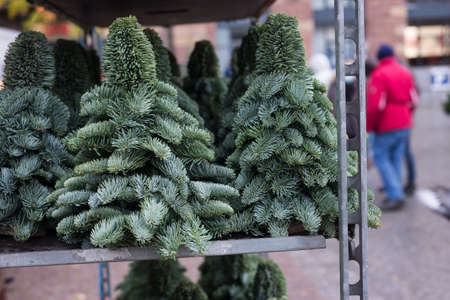 Closeup of small christmas trees at the market
