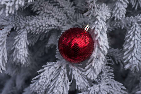 closeup of red ball in snowy christmas tree in the streetの写真素材