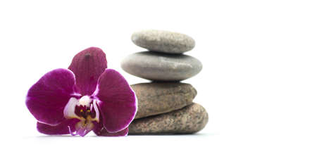 Closeup of purple orchid and stone balance on white backgroundの写真素材
