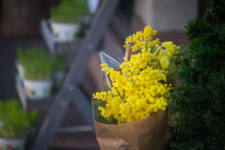 Closeup of mimosa bouquet of flowers at the folorist store in the streetの写真素材