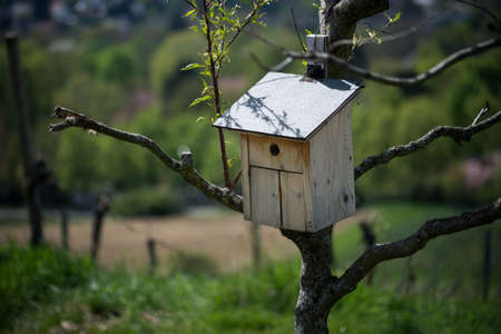 Closeup of wooden bird house ion tree branchの写真素材