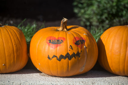 Closeup of scary pumpkins in a public gardenの写真素材