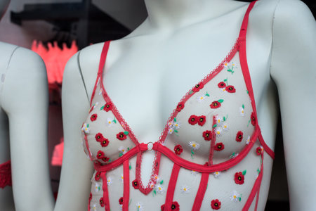 Closeup of printed flowers on red bra on mannequin in a fashion store showroomの写真素材