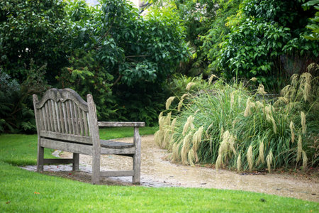 view of wooden bench in a tropical gardenの写真素材