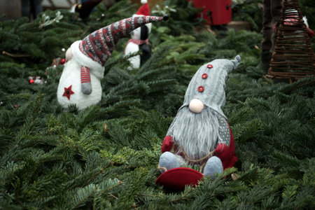 Closeup of traditional christmas gnomeの写真素材