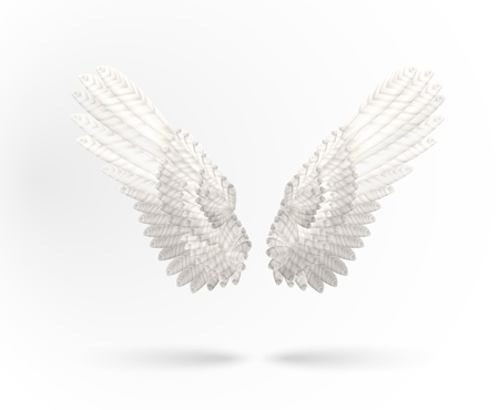  White Angel wings isolated on white backgroundのイラスト素材