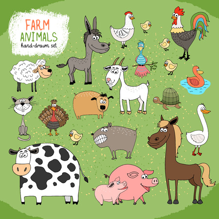 Set of hand-drawn farm animals and livestock with a black and white cow  horse  donkey  sheep  pig  piglet  goose  duck  rooster  hen with chicks  guard dog  cat  goat and tortoiseのイラスト素材