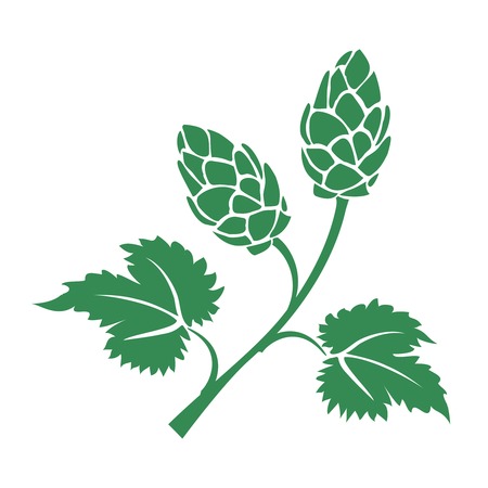Green vector silhouette hops icon with leaves and cone like flowers used in the brewing industry to add the bitter taste to beerのイラスト素材