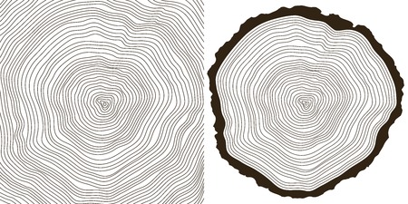 tree rings