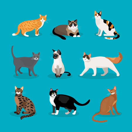 Set of vector catsのイラスト素材